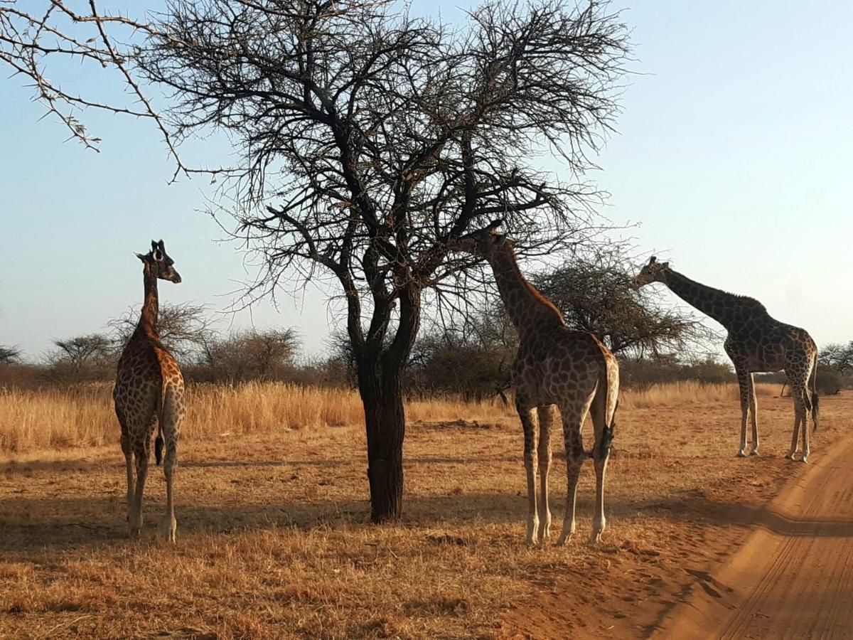 Chalé Sondela Nature Reserve & Bela-Bela