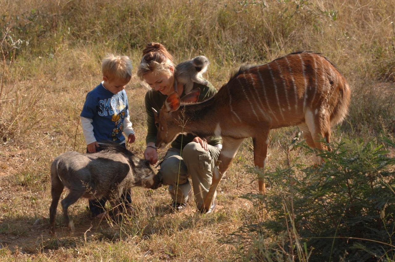 Chalé Sondela Nature Reserve & *