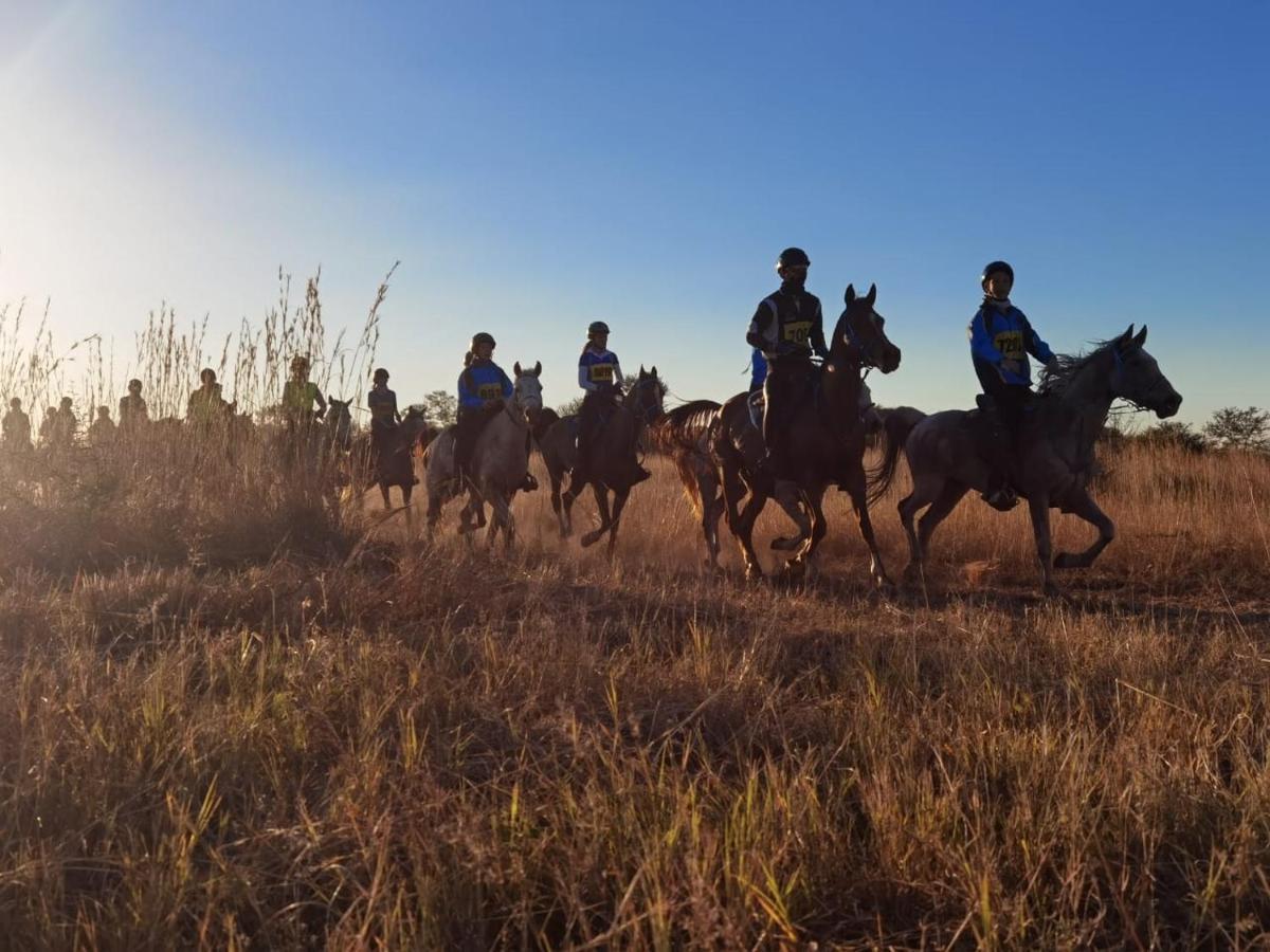 Chalé Sondela Nature Reserve & Bela-Bela