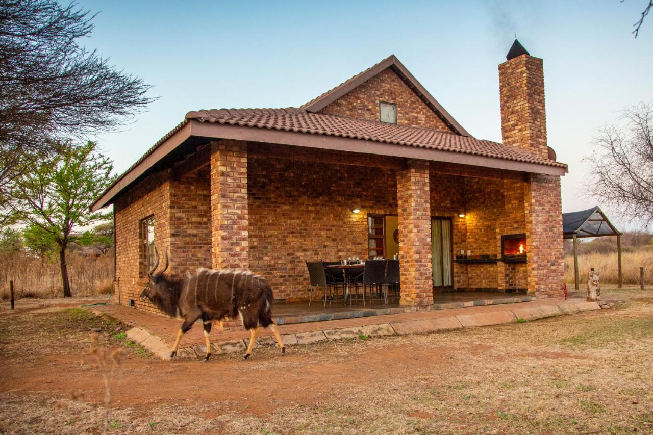 Sondela Nature Reserve & Chalé *